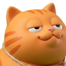 the face of a cat who has already decided